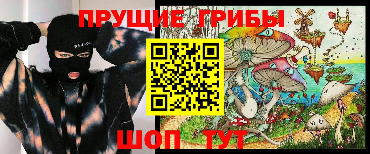 Галлюциногенные грибы Magic Shrooms  Вход с VPN  Галлюциногенные грибы мицелий  купить наркотики сайты  Тосно 
